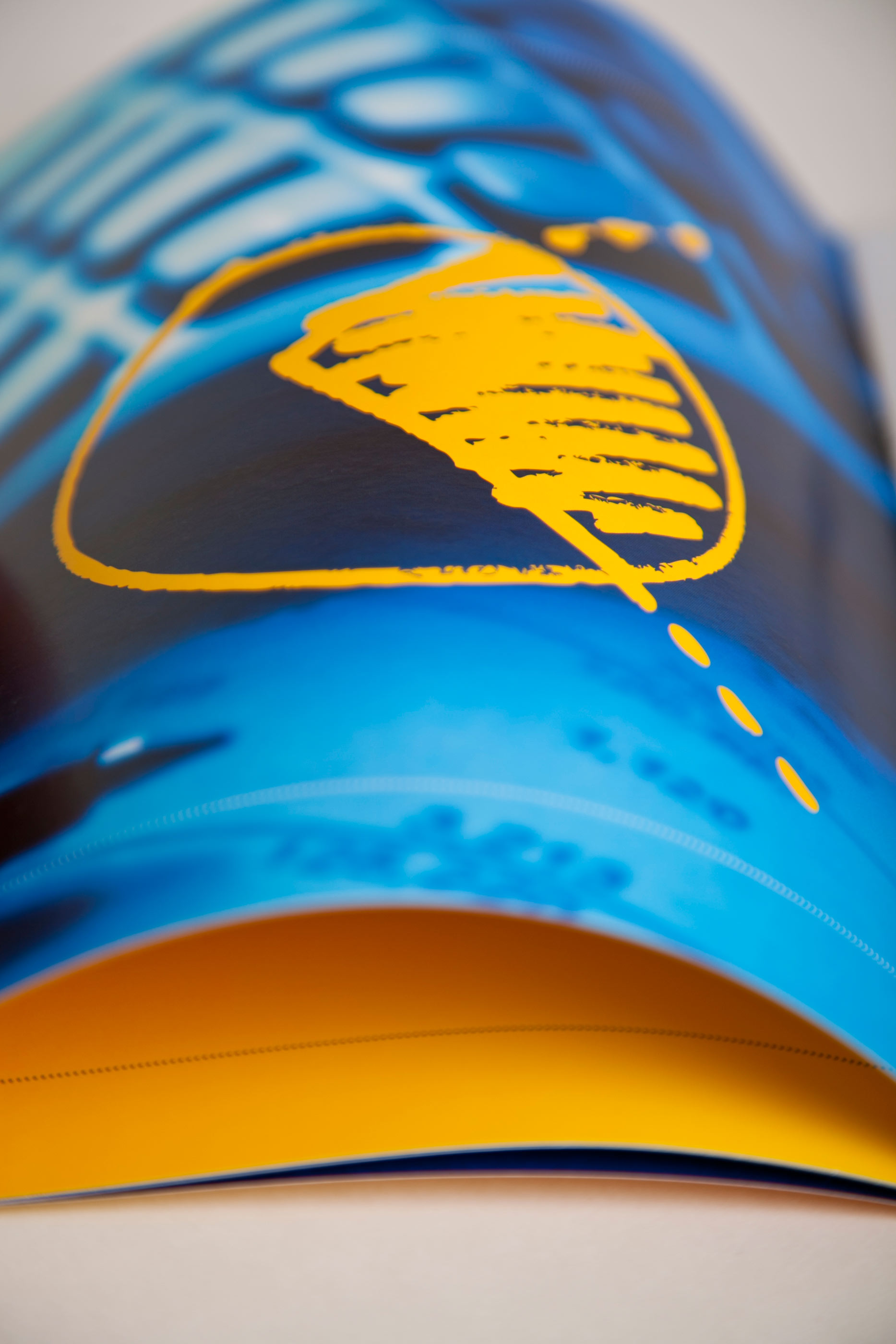 israel_lopez_BancoFinanciero_Branding_006A.jpg
